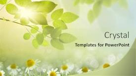  Presentation with spring nature grass - Presentation design with spring or summer season abstract nature background with grass and blue sky in the back background and a soft green colored foreground