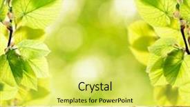  Presentation with abstract spring green - Cool new presentation theme with spring or summer season abstract nature background with green leaves grass and wooden floor backdrop and a yellow colored foreground