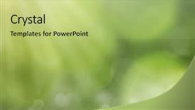  Presentation with spring nature grass - Theme having spring or summer season abstract background and a mint green colored foreground