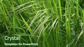  Presentation with land - Slides featuring spring or summer use background and a  colored foreground