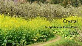  Presentation with country western spring - Slide set consisting of spring over a lush field background and a  colored foreground