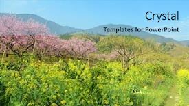  Presentation with country western spring - Slide deck having spring over a lush field background and a  colored foreground