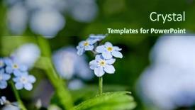  Presentation with plants - Presentation having spring-park-with-different-plants background and a tawny brown colored foreground