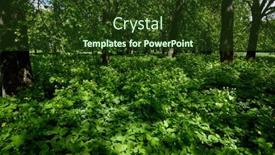  Presentation with plants - Presentation featuring spring-park-with-different-plants background and a tawny brown colored foreground