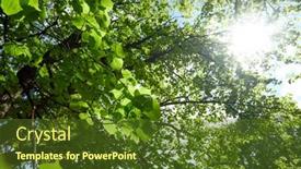  Presentation with plants - Slide set consisting of spring-park-with-different-plants background and a tawny brown colored foreground