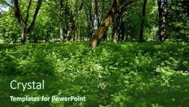  Presentation with plants - Presentation theme enhanced with spring-park-with-different-plants background and a forest green colored foreground
