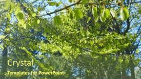  Presentation with trees - Presentation theme featuring spring-park-with-young-grass background and a tawny brown colored foreground