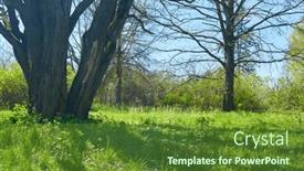  Presentation with trees - PPT theme consisting of spring-park-with-young-grass background and a tawny brown colored foreground