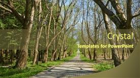  Presentation with trees - PPT layouts featuring spring-park-with-young-grass background and a tawny brown colored foreground