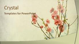  Presentation with vintage diary - Slide deck with spring peach blossom on old background and a lemonade colored foreground