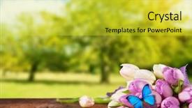  Presentation with tulip - Presentation theme featuring spring pink tulip flower bouquet on wooden planks blur garden on background background and a yellow colored foreground