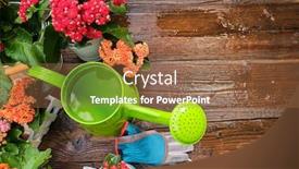  Presentation with rustic wood border - PPT theme having spring-plants-and-garden-tools background and a coral colored foreground