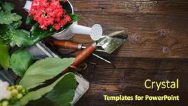  Presentation with rustic wood border - Slide set enhanced with spring-plants-and-garden-tools background and a wine colored foreground