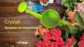  Presentation with rustic wood border - Amazing presentation design having spring-plants-and-garden-tools backdrop and a tawny brown colored foreground