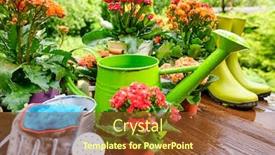  Presentation with rustic wood border - Amazing presentation having spring-plants-and-garden-tools backdrop and a tawny brown colored foreground