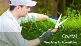  Presentation with piper nigrum plants - Presentation design enhanced with spring professional - gardener trimming plants background and a tawny brown colored foreground