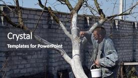  Presentation with fruit trees - Cool new PPT layouts with spring protection of fruit trees backdrop and a dark gray colored foreground