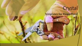  Presentation with garden - Beautiful presentation design featuring spring pruning roses backdrop and a yellow colored foreground