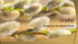  Presentation with flowers - Slide deck consisting of tourist info sign in spanish background and a ocean colored foreground