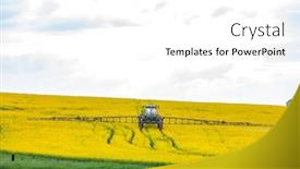  Presentation with rapeseed - Amazing theme having spring-rapeseed-field-with-fertilizing backdrop and a white colored foreground