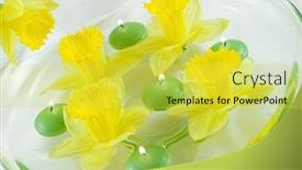  Presentation with relaxation - Slides featuring spring relaxation background and a yellow colored foreground