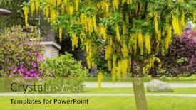  Presentation with springtime - PPT theme consisting of spring-scene-in-the-green background and a yellow colored foreground