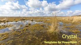  Presentation with swamp - Presentation design enhanced with spring scene on swamp under clouds in sky background and a tawny brown colored foreground