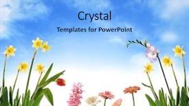  Presentation with scenery - Amazing PPT theme having spring scenery photoillustration backdrop and a light blue colored foreground