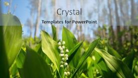  Presentation with season - Presentation theme having spring-season-theme-lilly background and a light blue colored foreground