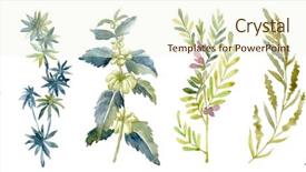  Presentation with flower watercolor - Slide deck consisting of spring seasons wash drawing background and a cream colored foreground