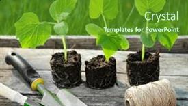  Presentation with garden tools - Slide deck featuring spring-seedlings-sprouting-and-garden background and a tawny brown colored foreground