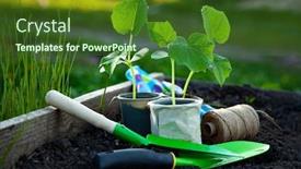  Presentation with garden tools - Beautiful PPT theme featuring spring-seedlings-sprouting-in-plastic backdrop and a tawny brown colored foreground