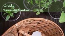  Presentation with garden tools - Presentation enhanced with spring-seedlings-sprouting-in-tray background and a tawny brown colored foreground