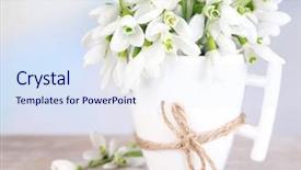  Presentation with snow - Slide deck enhanced with spring snow - beautiful snowdrops in cup background and a sky blue colored foreground