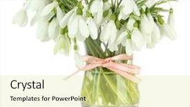  Presentation with snowdrop - PPT theme consisting of spring snow - bouquet of snowdrop flowers background and a blonde colored foreground