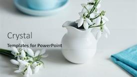  Presentation with spring - Beautiful theme featuring spring-snowdrops-galanthus-nivalis backdrop and a light gray colored foreground