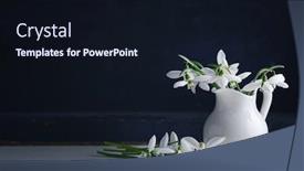  Presentation with spring - Colorful slide deck enhanced with spring-snowdrops-galanthus-nivalis backdrop and a wine colored foreground