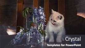  Presentation with british - PPT layouts having spring-still-life-with-blooming background and a dark gray colored foreground