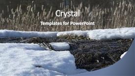  Presentation with forest stream - PPT theme consisting of spring stream in a forest background and a dark gray colored foreground