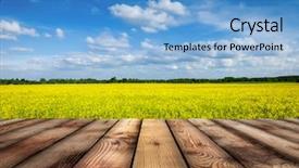  Presentation with blue yellow - Slide set featuring spring summer background - yellow canola background and a light blue colored foreground