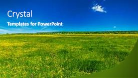  Presentation with summer flowers - Cool new theme with spring-summer-background-blooming-flowers backdrop and a dark gray colored foreground