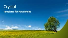  Presentation with lanscape - Colorful PPT theme enhanced with spring summer background - blooming flowers green grass field meadow scenery lanscape under blue sky with single lonely tree backdrop and a dark gray colored foreground