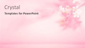  Presentation with abstract leaves - Slides consisting of spring-summer-blurred-light-pink background and a lemonade colored foreground