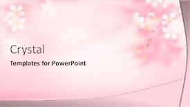  Presentation with blurred flowers - PPT layouts with spring-summer-blurred-light-pink background and a pink colored foreground