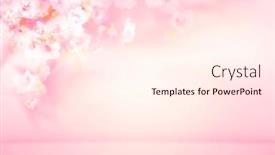  Presentation with blurred flowers - Presentation theme featuring spring-summer-blurred-light-pink background and a cream colored foreground