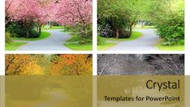  Presentation with four seasons - Amazing presentation theme having spring summer fall and winter backdrop and a gold colored foreground