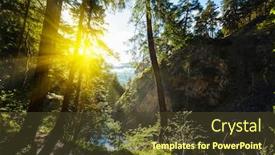  Presentation with spring - Slides enhanced with spring summer green forest with sunrays background and a tawny brown colored foreground