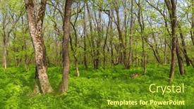  Presentation with ukraine - 