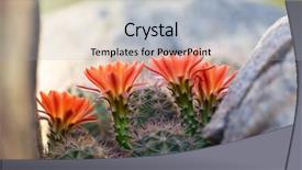  Presentation with arizona desert - Amazing PPT layouts having spring sunshine in arizona desert backdrop and a light gray colored foreground
