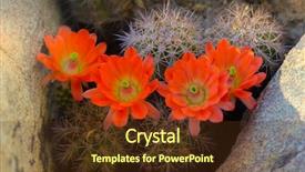  Presentation with arizona desert - Cool new slides with spring sunshine in arizona desert backdrop and a tawny brown colored foreground